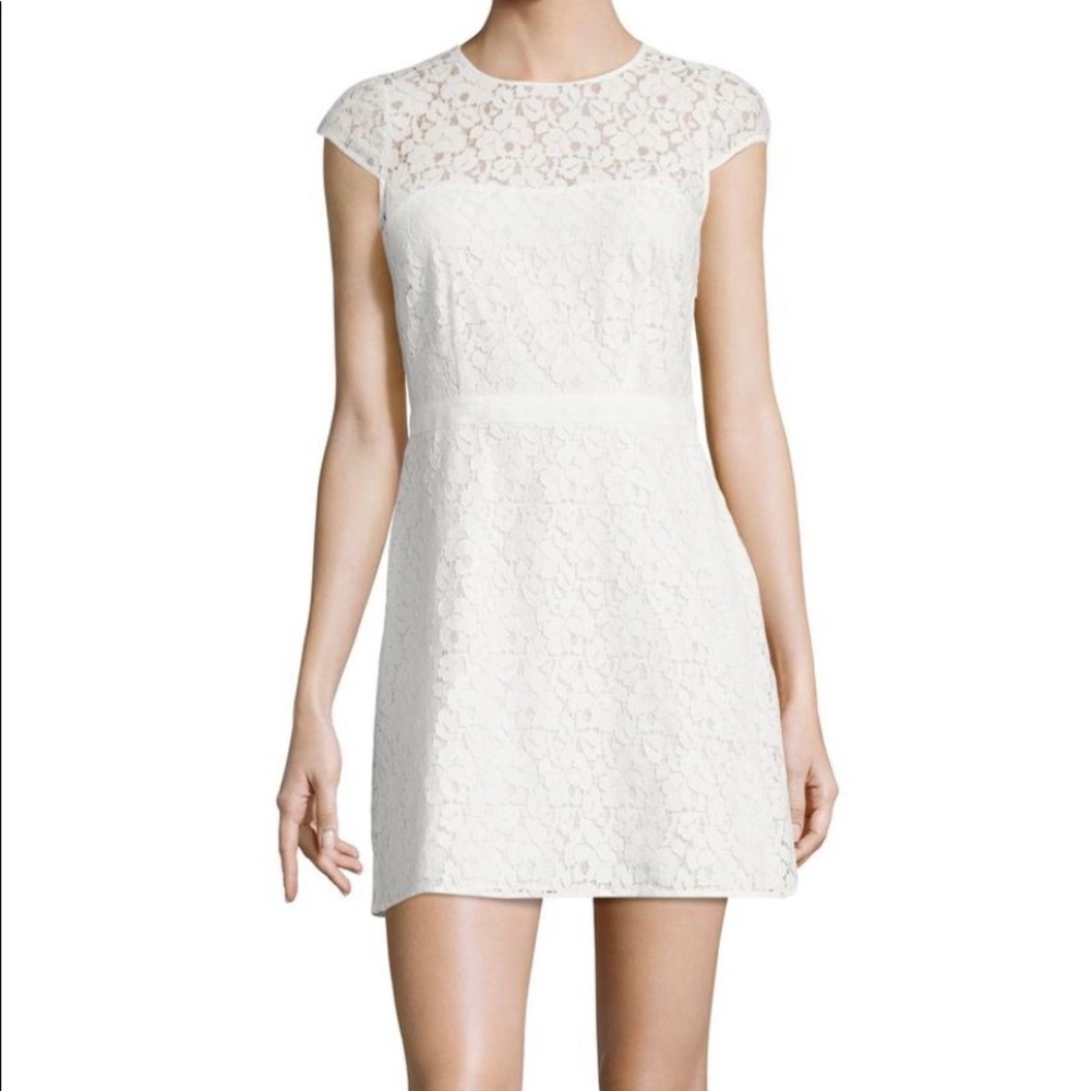 Likely lace flattering fit and flare 👗